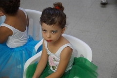DSC03950