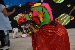 DSC02640