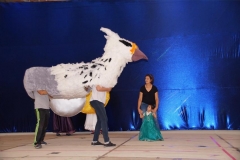 DSC02805
