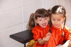 Festa2018_Apresentacao213