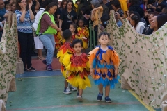 Festa2018_Apresentacao252